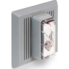 Flush Mount Horn/Strobe 24V AC/DC Clear