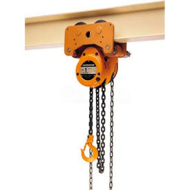 Low Headroom Trolley/Hoist 3 Ton, 10' Lift