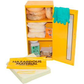 Wall Mount Spill Containment Cabinet, Large, 12"W x 14"D x 28"H, Aggressive Oil Storage