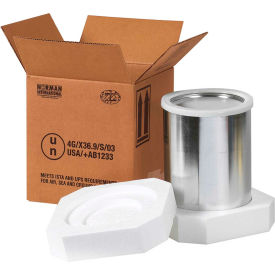One Gallon Foam Haz Mat Shipper Kit, 8-1/2"L x 8-1/2"W x 9-5/16"H
