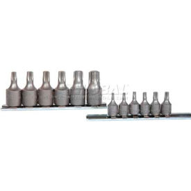 Chrome Socket, 3/8" Drive, T55 Internal Torx