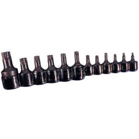 Socket, 3/8" Drive, T40 Internal Torx