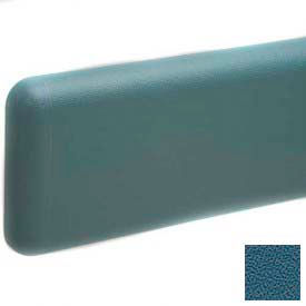 Wall Guard W/Rounded Top & Bottom Edges, Aluminum Retainer, 6"H x 12'L, Alexis Blue