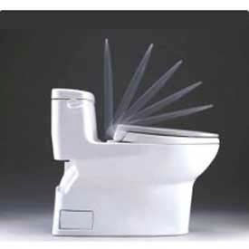 Elongated SoftClose Seat, Colonial White