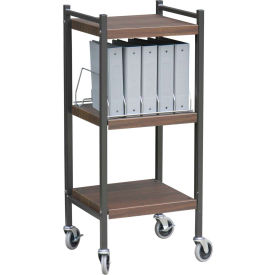 Mini Vertical Open Chart Rack, 10 Binder Capacity, Woodgrain