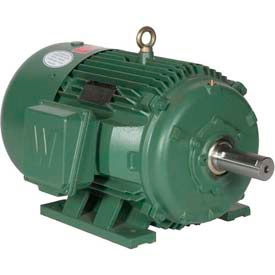 Worldwide Electric Motor, PREM EFF, TEFC, Rigid, 3 PH, 184T, 208-230/460V, 6 FLA