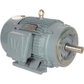 T-Frame Motor PEWWE50-18-326TC, GP, TEFC, Rigid-C, 3 PH, 326TC, 59.6 FLA
