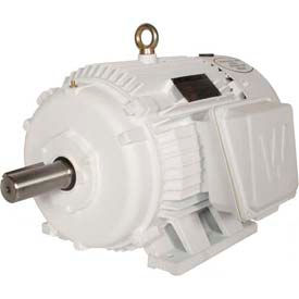 Oil Well Pump Motor, TEFC, Rigid, 3 PH, 213T, 230/460/796V, 3 HP