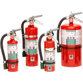 Sentinel Fire Extinguisher, 10 lb Carbon Dioxide