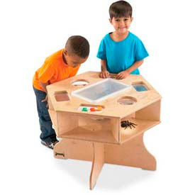 Science Activity Table