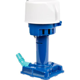 Automatic Condensate Removal Pump, 115/127V, 307 GPH At 1'
