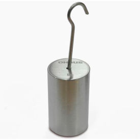 50g Hooked Weight Stainless Steel ASTM Class 6