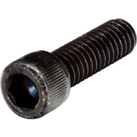 80/20 Socket Head Cap Screw, 1"L