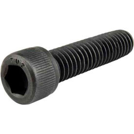 Socket Head Cap Screw, 1-1/4"L