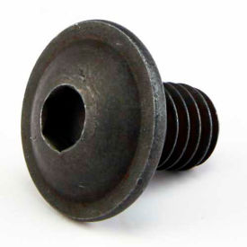 Flanged Button Head Socket Cap Screw, 3/8"L