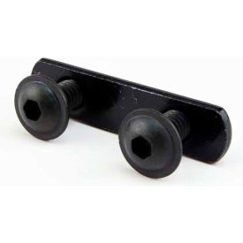 1/4-20 x 1/2" FBHSCS and Slide-In Double Economy T-Nut