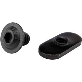 1/4-20 x 3/8" FBHSCS & Slide-In Economy T-Nut
