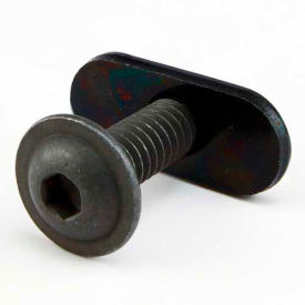 1/4-20 x 3/4" FBHSCS and Slide-In Economy T-Nut