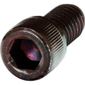 Socket Head Cap Screw, 5/8"L