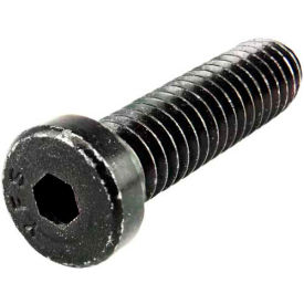 Low Head Socket Cap Screw, 1"L