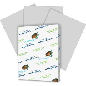 Colored Paper - Gray - 8-1/2" x 11" - 20 lb. - 500 Sheets