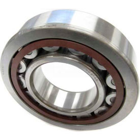 Single Row Cylindrical Roller Bearing NU210EG, 50MM Bore, 90MM OD, High Capacity
