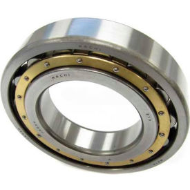 Single Row Cylindrical Roller Bearing, 95MM Bore, 200MM OD