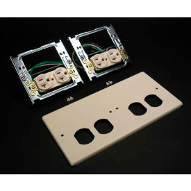 Four-Gang Overlapping Cover, Two Duplex Receptacles, Gray, 9-1/2"L