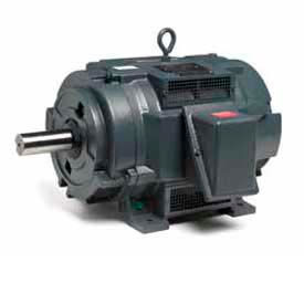 Oil Well Pump Motor, 20HP, 230/460/796V, 1200RPM, 3PH, 286T FR, DP