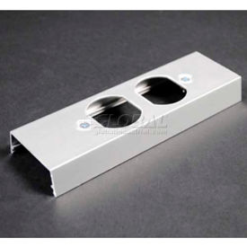 Duplex Receptacle Cover Plate, 125V, 15A, 6"L