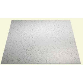 Printed Pro PVC Ceiling Tile, Waterproof & Washable, 2'L X 2'W - 12/Case