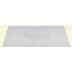 Printed Pro PVC Ceiling Tile, Waterproof & Washable, 2'L X 4'W - 10/Case
