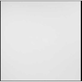 Designer Border Fill PVC Ceiling Tile, 2'L X 2'W, White - 12/Case