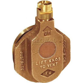 Brass Horizontal Safety Drum Vent for Petroleum Based Applications