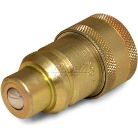 Hydraulic Quick Coupler, ISO Male Tip To IH Female Body