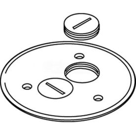 Floor Box Cover Plate, Brass, W/Screw Plug Openings, For Carpet