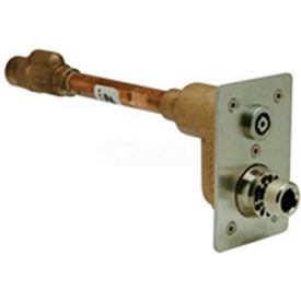 Automatic Draining Wall Hydrant, Exposed Ecolotrol, Anti-Siphon, 3/4" x 16"