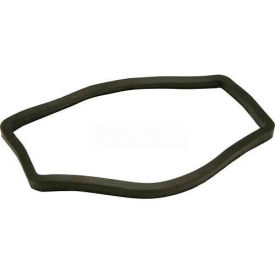 Replacement Gasket for Z1180 Solids Interceptor