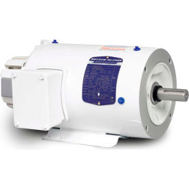 Washdown Motor, 3 Phase, 1 HP, 1745 RPM, 230/460 Volts, TENV, 143TC FR