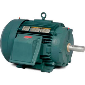 Severe Duty Motor, 3 PH, 60 HP, 575 V, 3560 RPM, TEFC, 364TS Frame