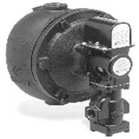 Mechanical Water Feeder/Low Water Cut-off with #2 Switch