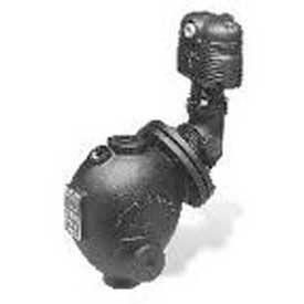 Series 150S Low Water Cut-Off/Pump Controller, Manual Reset, Mechanical