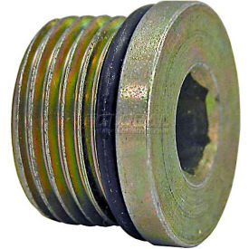 Straight Thread O-Ring Hex Socket Plug, 1-1/4" Port Size - Min Qty 10