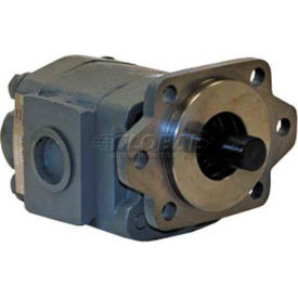 Buyers H21 Series Hydraulic Pump, 2/4 Bolt, 3000 Max Pressure, 7/8-13 Spline Shaft