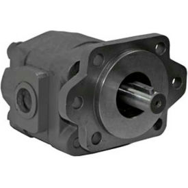 H21 Hydraulic Pump, 2/4 Bolt, 2500 Max Pressure, 1" Keyed 1/4 KW Shaft