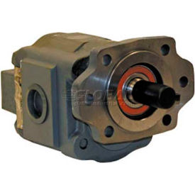 H50 Series Hydraulic Pump, 2/4 Bolt, 2500 Max Pressure, 1" Keyed 1/4 KW Shaft