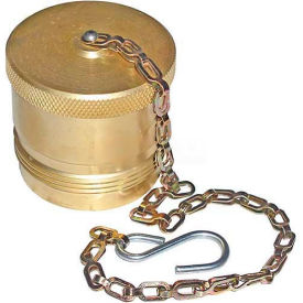 Quick Detach Hydraulic Coupler, 1-1/4" Npt, Dust Cap W/Chain-Min Qty 2