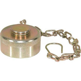 Wing Type Quick Detach Hydraulic Coupler, 1" Npt Coupler, Dust Cap W/Chain- Min Qty 4