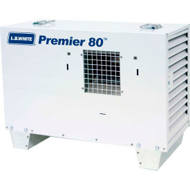 Portable Gas Heater Premier 80000 BTU, LPG/NG