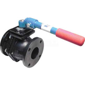 Ball Valve, Flanged, 10", Cast Iron